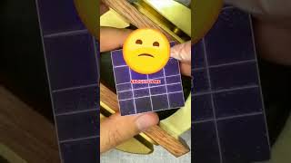 Dark Truth About Plants 🤯🤯 #ytshorts #satisfying #shockingtruths #shorts #viralvideo