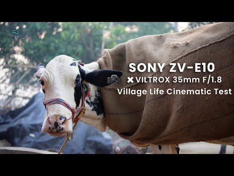 Sony ZV-E10 × Viltrox 35mm f1.8 - Village Life Cinematic Test