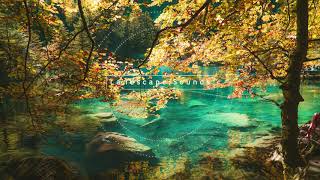 △ Landscape Sounds- NoCopyrightSounds - Relaxing Music - End of Fall by Gustavo Cabeza