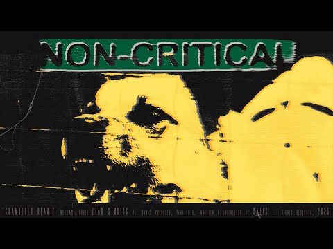Calix - NON-CRITICAL (Official Lyric Video)