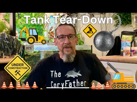 Its Tank Teardown Time ...