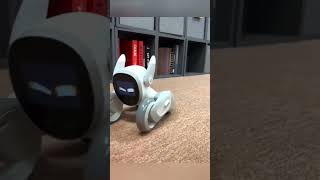 loona robot following laser #loona #petrobot #airobot #loonarobot #loonareaction #petbot