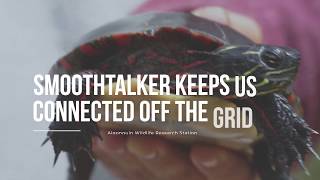 Algonquin Wildlife Research Station Stays Connected with Smoothtalker Cellular Booster