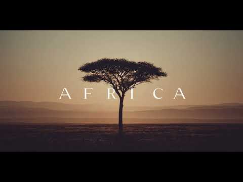 Continents | Africa — Savannah Sunset Ambience