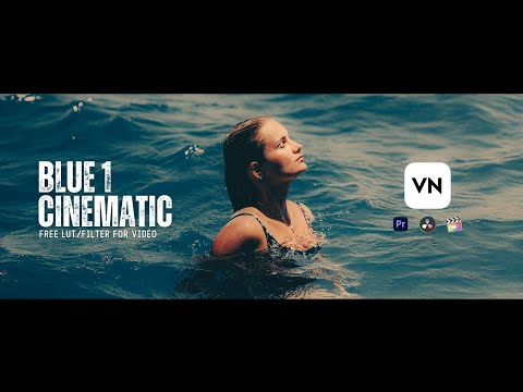 BLUE 1 Cinematic LUT For VN Video Editor | Premiere Pro | Davinci Resolve & FCP | Download Free LUT
