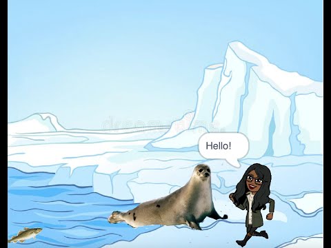 Seal's Habitat on Scratch