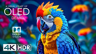 Incredible 4K HDR 60 FPS: A Visual Feast for Your Eyes (4K Video)