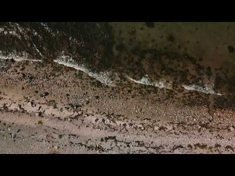 The beauty of zealand cinematic