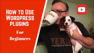How To Use Wordpress Plugins For Beginners