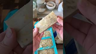 Freezing in Souper Cubes vs freezer bags