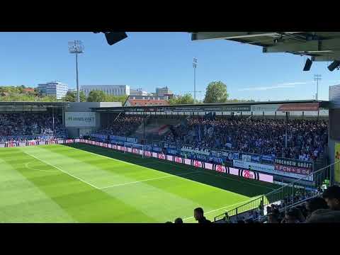 Schalke Fans in Wiesbaden! Wehen Wiesbaden 1:1 FC Schalke 04
