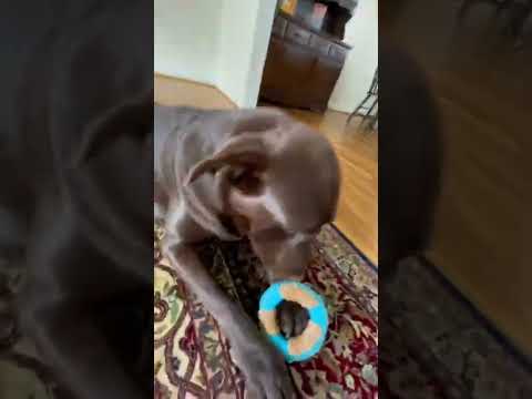 😳HE CRACKED MY PHONE CASE