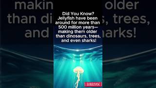 Did You Know Jellyfish Are Older Than Dinosaurs?  #Shorts