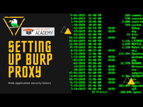How to set up foxy proxy and burp ? Portswigger Web security academy #websecurity #burp #bugbounty