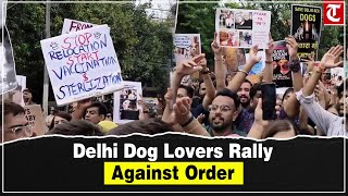 Animal rights activists protest stray dog relocation order near Ramlila Ground, New Delhi