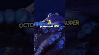 Unbelievable Octopus Facts! 🐙 #OctopusFacts #MarineMysteries #Underwater #wildlife #facts