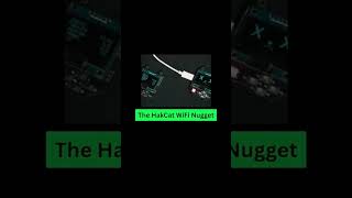 Hacker tool kit #shorts #cybersecurity #kalilinux #hacker