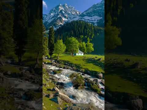 Kashmir ❤️#follow #travel #worldexplorer #shortvideo #love #nature #reels #shorts #india