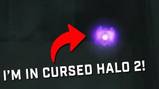The new Cursed Halo 2 update added ME into it!