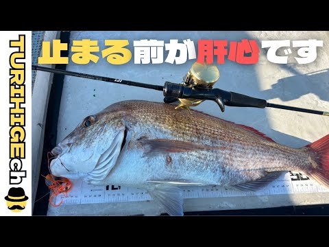 タイラバ　65きました！　#タイラバ #釣り  #slj  #セブンスライド