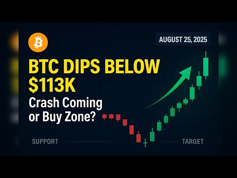 BTC Dips Below $113K! Crash Coming or Buy Zone? [August 25, 2025]