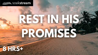 Soft Spoken Bible Verses to Calm Your Mind (8 Hours)