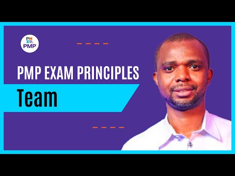 PMP Principle 2: Team Explained | How PMI Tests Team Leadership in the PMP Exam