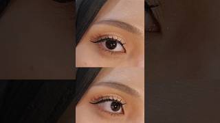 soft cut crease ☆ #shortvideo #makeup #eyeshadow #eyemakeup #cutcrease #cutcreaseeyemakeup
