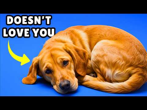 If Your Dog Does THIS, They Might Not Love You at All