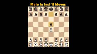 Mate In Just 11 Moves 😲🤯 #anime #chess #chessstrategy #shortsvideo #shorts