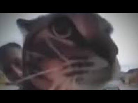 Making A Lofi Meme Beat