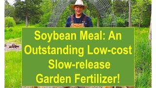 Soybean Meal: An Outstanding Low-cost Slow-release Garden Fertilizer!