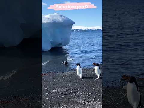 Antartica part2 - polama venama #information #facts #fascinatinginformation #explanationintamil