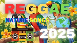 Enjoy the scene of Beautiful Birds with Reggae Vibes 2025 | Best Reggae Music 2025