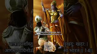 Pleasure & Pain Are Temporary – Gita 2.14 🌸🔥 #gitawisdom  #shorts  #bhagavadgita #bhakti #gitaslokas