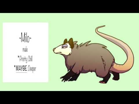 Milo Audition | Serendipity: Season 1