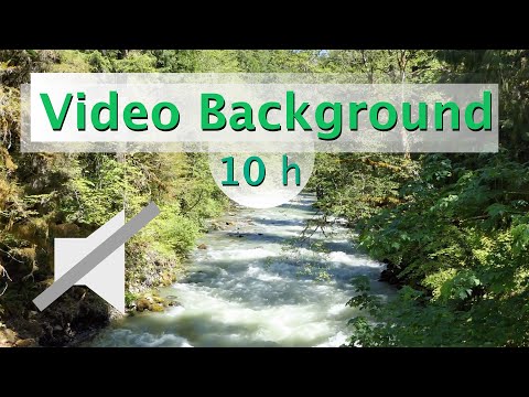 [Video Background] - small river in the sun (No Audio) - 10 Hours of Relaxing river Video Background