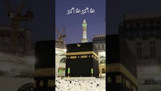 #love #beautiful #muslimcontent #shortvideos #viral #duet #answer #muslimcommunity #jaidmeel