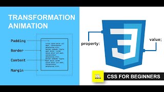 CSS Tutorial for beginners | TRANFORMATION ANIMATION