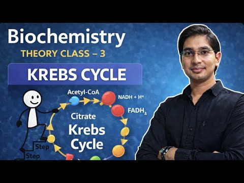 Theory + MCQs of Citric Acid cycle | Krebs Cycle |Tricarboxylic Acid Cycle