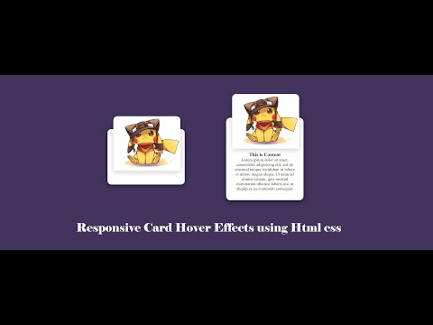 Responsive Profile Hover Effects using Html and css
