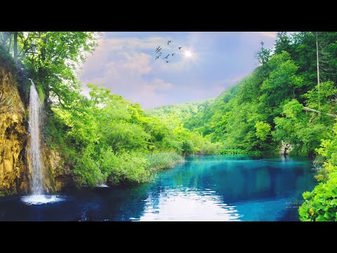 Relaxing Piano Music: Nature Sounds, Meditation, Sleep, Calming, Stress Relief, Study Music