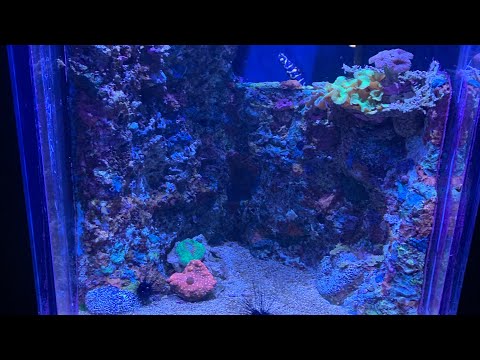A Day At Riverbank Zoo| Columbia,SC
