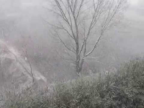 DSCN4979