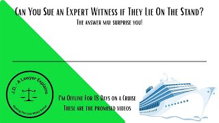 Can You Sue an Expert For Their Courtroom Testimony?  (find out!)