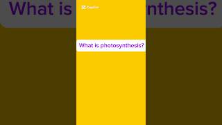 What photosynthesis? Definition of photosynthesis. Photosynthesis ki. Photosynthesis kake bole.