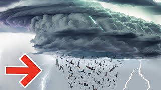 Fenómenos naturales irrepetibles que nos dejaron sin aliento