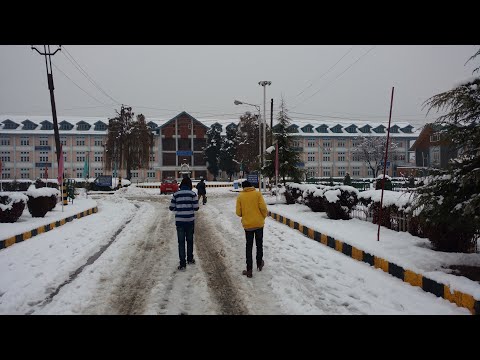 Traditional dance of kashmir in a small fest in NIT Srinagar