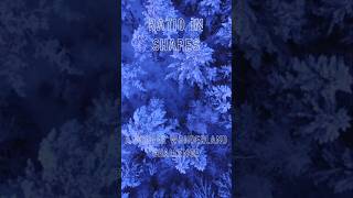 Ratio Question #GCSEMaths #MathsHelp #Geometry #MathsTutorial #StudyWithMe #MathsRevision #Education