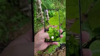 Samsung Galaxy S23 Ultra Camera Quality Test #shorts #viralshort #shortsfeed #samsungs23ultra